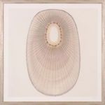 Product Image 1 for Shell II Art from Shadow Catchers