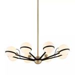 Product Image 1 for Ace 8 Light Chandelier from Troy Lighting