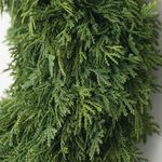 Product Image 2 for Arthur Green Cedar Wreath from Sullivans