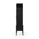 Product Image 20 for Tolle Arched Black Two-Door Cabinet from Four Hands