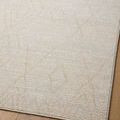 Product Image 6 for Kamala Natural / Mist Transitional Rug - 11'2" x 15'7" from Loloi