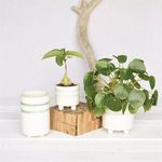 Product Image 1 for Fluorite Cachepot, Ceramic White, Teal from Homart