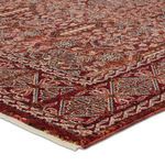 Product Image 2 for Jairus Transitional Oriental Red/ Black Rug - 3' x 8' from Jaipur