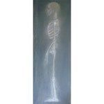 Product Image 1 for X Ray from Noir