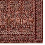 Product Image 4 for Jairus Transitional Oriental Red/ Black Rug - 4' x 6' from Jaipur