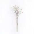 Product Image 1 for Eloisa Blossom Branch - 54", Single from Napa Home And Garden