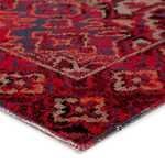 Product Image 1 for Chaya Indoor/ Outdoor Medallion Red/ Black Rug from Jaipur