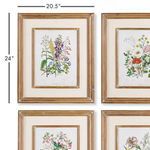 Product Image 3 for Garden Botanical Prints, Set Of 4 from Napa Home And Garden