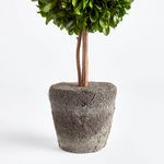 Product Image 3 for Boxwood Double Sphere Topiary Drop-in 20" from Napa Home And Garden