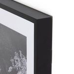 Product Image 4 for Tree Gaze I By Coup D'esprit, Framed Landscape Photography from Four Hands