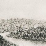 Product Image 11 for Hill Country Study Ii By Aileen Fitzgerald from Four Hands