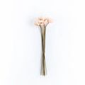 Product Image 1 for Estelle Poppies - 27", Bundle of 6 from Napa Home And Garden