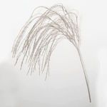 Product Image 1 for Jordan Platinum Gold Glittered Willow Spray from Sullivans