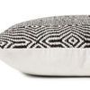 Product Image 1 for Sophie Black / White Pillow from Loloi