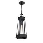 Product Image 5 for Payne 1-Light Outdoor Hanging Lantern in Matte Black from Savoy House