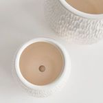 Product Image 3 for Nereus Pots, Set Of 2 from Napa Home And Garden