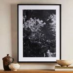 Product Image 2 for Tree Gaze I By Coup D'esprit, Framed Landscape Photography from Four Hands