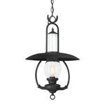 Product Image 1 for La Grange 1 Light Hanging Lantern from Troy Lighting