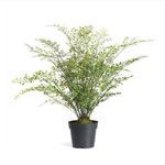 Product Image 1 for Faux Maidenhair Drop-In, 30" from Napa Home And Garden