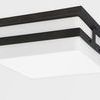 Product Image 1 for Sutter County 2 Light Exterior Flush Mount from Troy Lighting