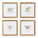 Product Image 1 for Perching Bird Study Petite, Set Of 4 from Napa Home And Garden