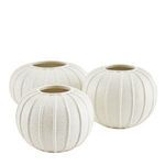 Product Image 6 for Pompano Ivory Porcelain Vases, Set of 3 from Arteriors