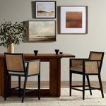 Product Image 24 for Antonia Brushed Ebony Cane Counter Stool from Four Hands