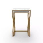Product Image 3 for Denni Nesting Tables Matte Brass from Four Hands