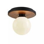 Product Image 1 for Cadet 1 Light Flush from Troy Lighting
