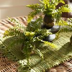 Product Image 4 for Boston Fern Drop-ins, Set Of 3 from Napa Home And Garden