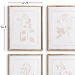 Product Image 3 for Blush Botanical Study Wall Art Framed Prints, Set of 4 from Napa Home And Garden