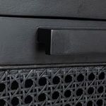 Product Image 10 for Savannah Cane & Mango Wood Cabinet from Creative Co-Op