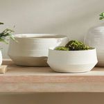 Product Image 5 for Regina Decorative Bowls, Set Of 2 from Napa Home And Garden