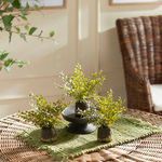 Product Image 3 for Maidenhair Drop-ins, Set Of 3 from Napa Home And Garden
