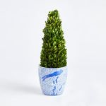 Product Image 4 for Boxwood Cone Topiary Drop-in from Napa Home And Garden
