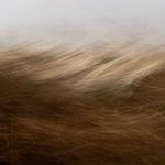 Product Image 5 for Reality Unfurled By Toni Toscano from Four Hands