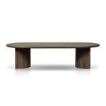 Product Image 1 for Paden Outdoor Coffee Table from Four Hands