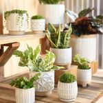 Product Image 2 for Ramos Horizontal Stripe Cachepot, Stoneware from Homart