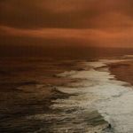 Product Image 5 for North Beach By Getty Images from Four Hands