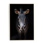 Product Image 6 for Zebra Stare By Getty Images from Four Hands