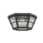 Product Image 3 for Lake County 2 Light Flush Mount from Troy Lighting