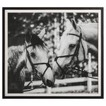Product Image 1 for Apple Of My Eye Black & White Framed Horse Print from Uttermost