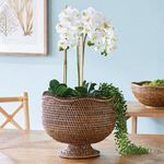 Product Image 2 for Burma Rattan Footed Cachepot from Napa Home And Garden