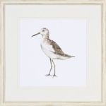 Product Image 1 for Birds of a Feather I from Shadow Catchers