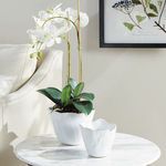 Product Image 4 for Maribella Ceramic Cachepots from Napa Home And Garden