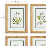 Product Image 2 for White Floral Study, Set Of 4 from Napa Home And Garden