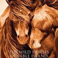 Product Image 6 for The Wild Horses Of Sable Island Coffee Table Book from ACC Art Books