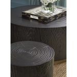 Product Image 4 for Terra Accent Table from Currey & Company