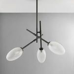 Product Image 4 for Alberton 3-Light Chandelier - Black Brass from Hudson Valley