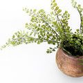 Product Image 4 for Delia Small Rustic Terracotta Vase from Zentique